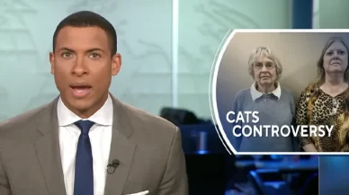 CBS News: Alabama seniors arrested for feeding local stray cats