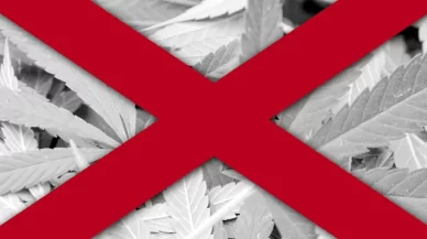 Defense Strategies Against Marijuana Possession Charges