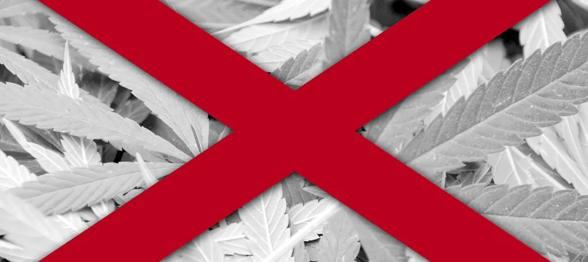 Defense Strategies Against Marijuana Possession Charges
