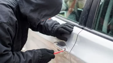 Common Theft Charges and Penalties