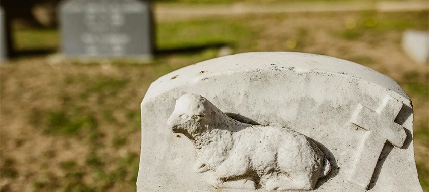 5 Important Things to Know about Wrongful Death Cases